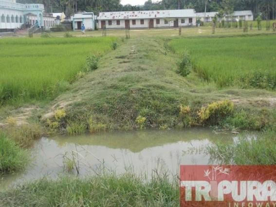 Educational infrastructure broke down in Manik’s ‘Golden Tripura’ Educational infrastructure broke down in Manik’s ‘Golden Tripura’